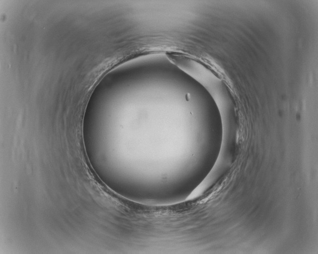 X0000060780385200511171248