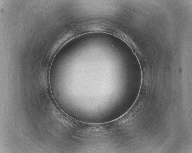 X0000060780386200511171248