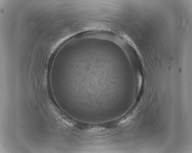 X0000060780387200511171248