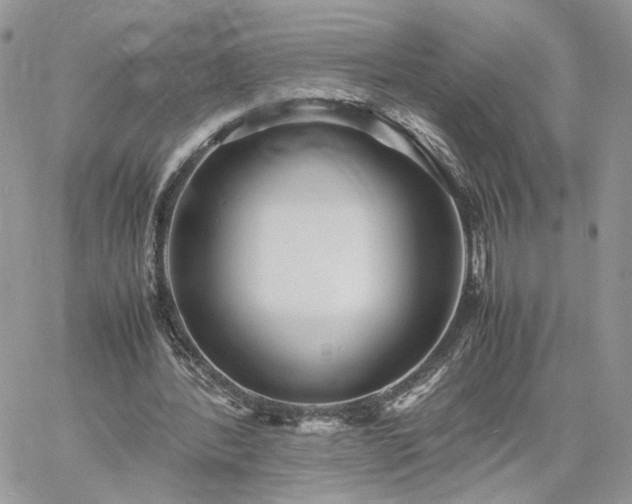 X0000060780388200511171248