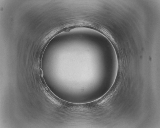 X0000060780389200511171248