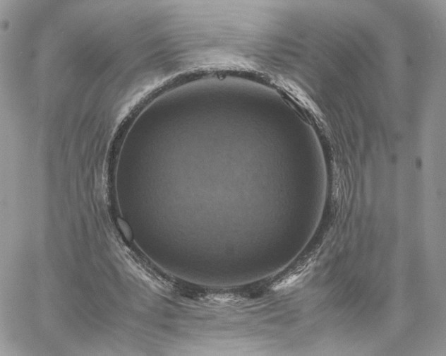 X0000060780391200511171248