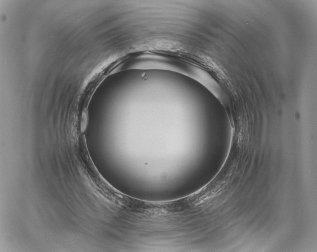 X0000060780392200511171248