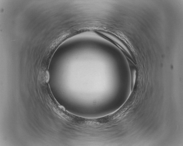 X0000060780393200511171248