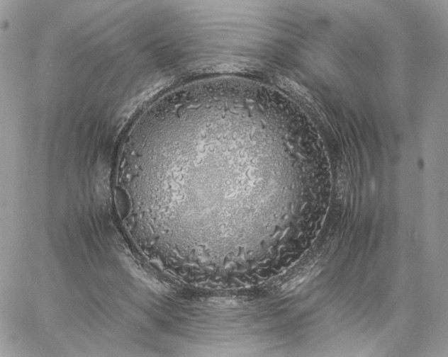 X0000060780394200511171248