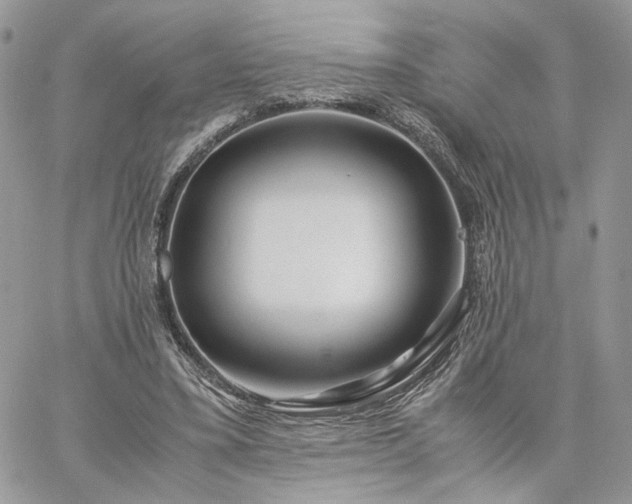 X0000060780395200511171248