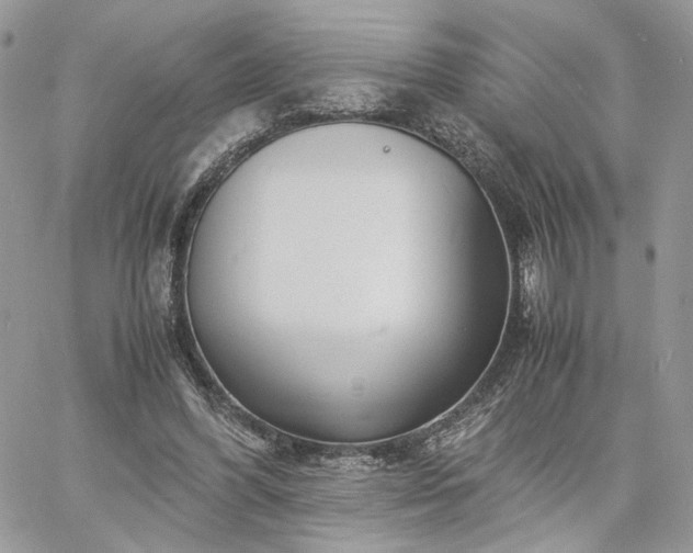 X0000060780396200511171248