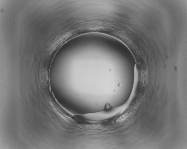 X0000060780397200511171248