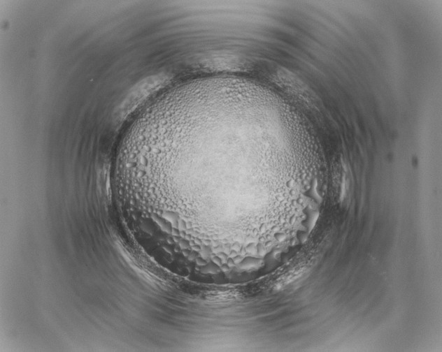 X0000060780398200511171248