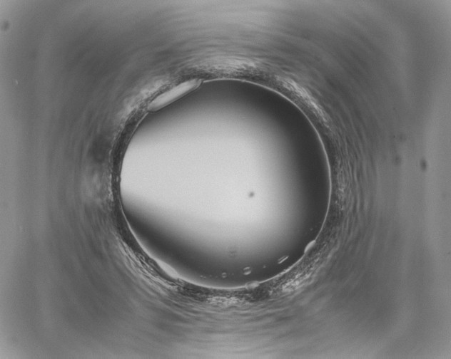 X0000060780399200511171248