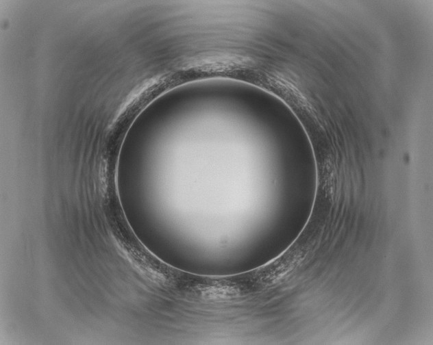 X0000060780400200511171248