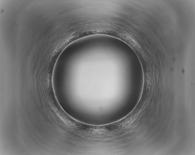 X0000060780401200511171248