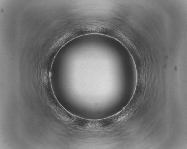 X0000060780403200511171248