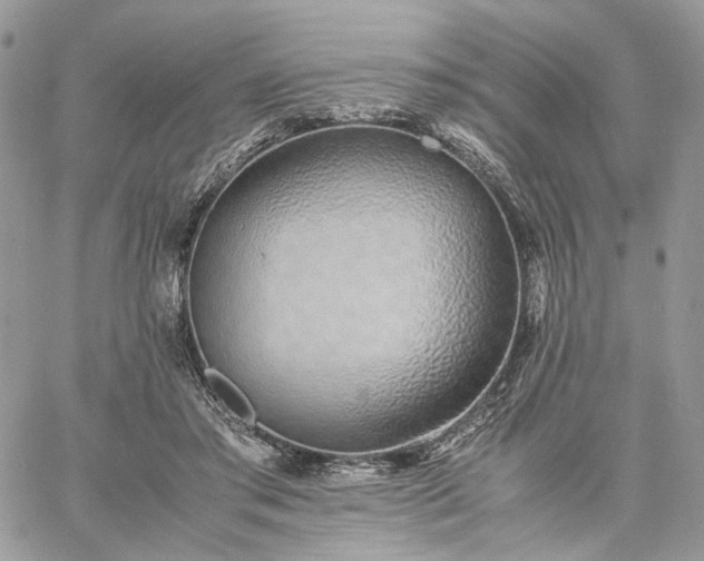 X0000060780405200511171248