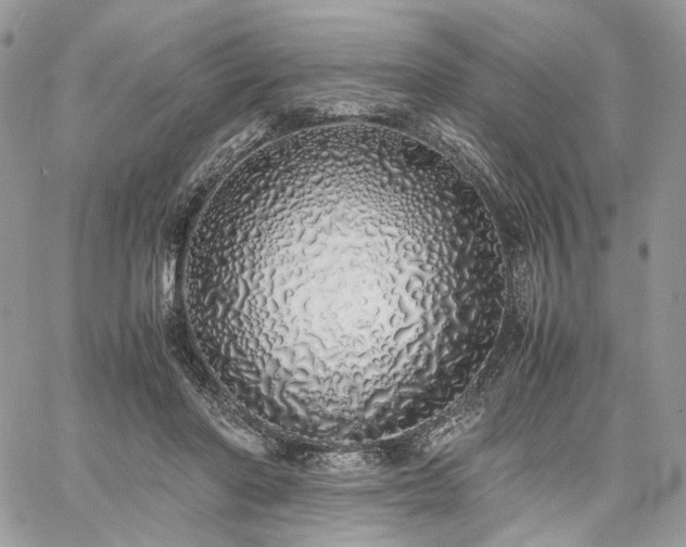 X0000060780406200511171248