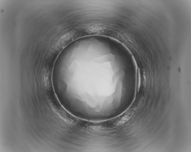 X0000060780408200511171248