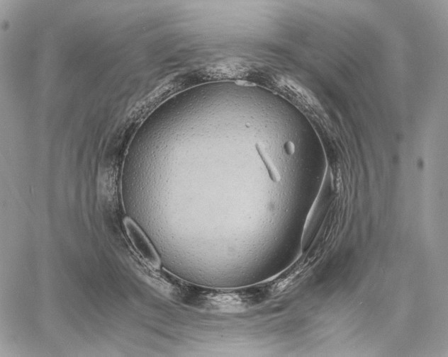 X0000060780409200511171248