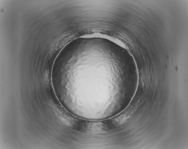 X0000060780410200511171248