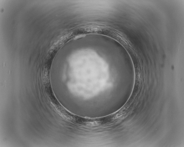 X0000060780411200511171248