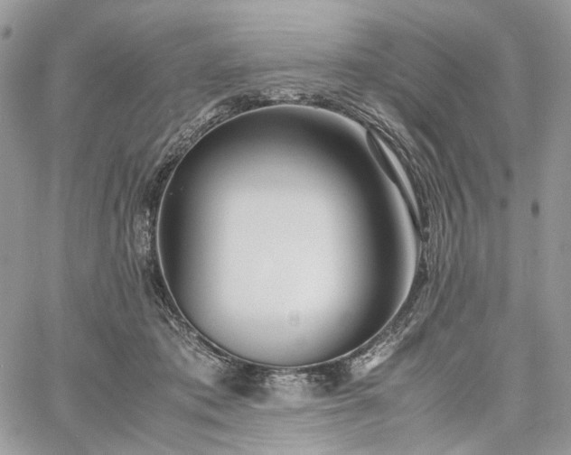 X0000060780413200511171248