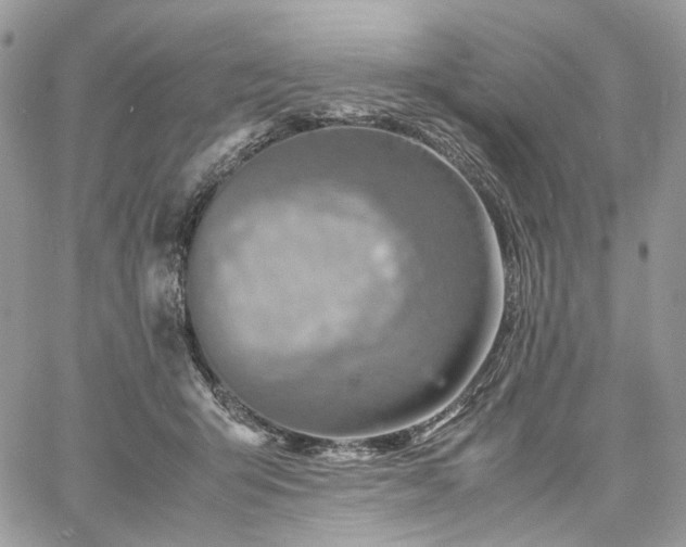 X0000060780415200511171248