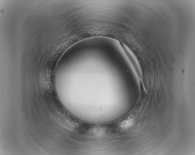 X0000060780416200511171248