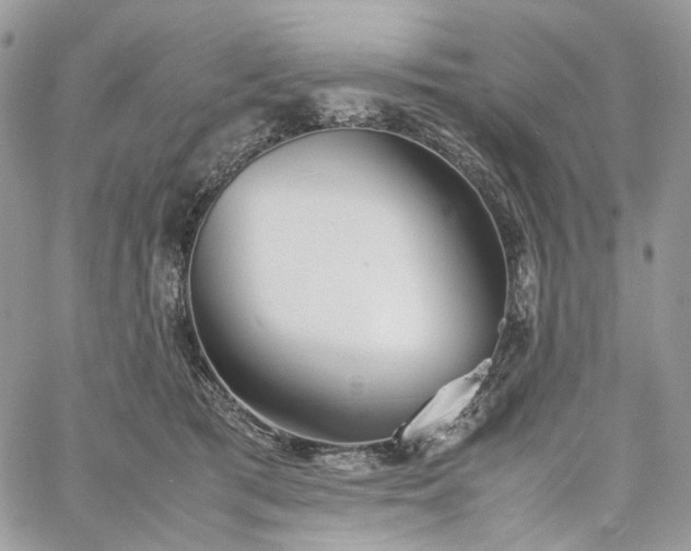 X0000060780417200511171248