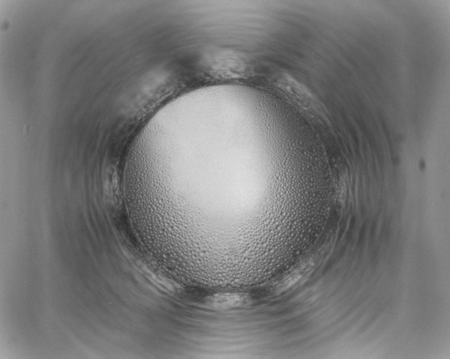 X0000060780418200511171248