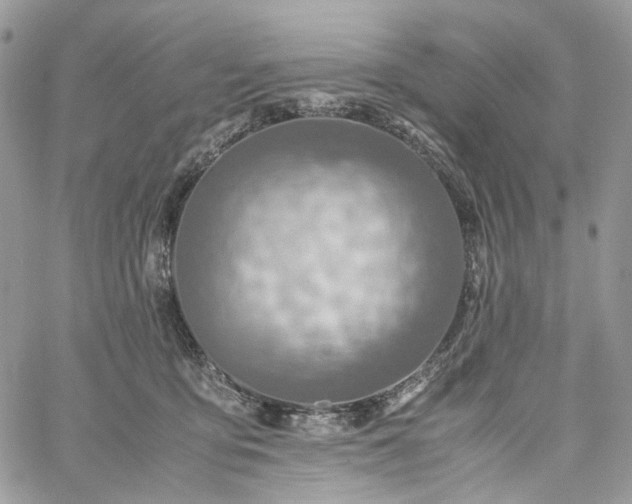 X0000060780419200511171248