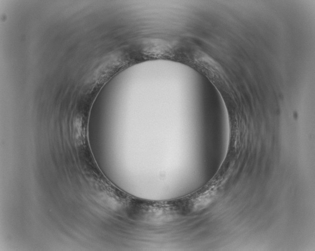 X0000060780420200511171248