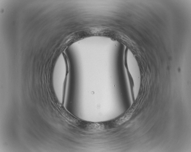 X0000060780421200511171248