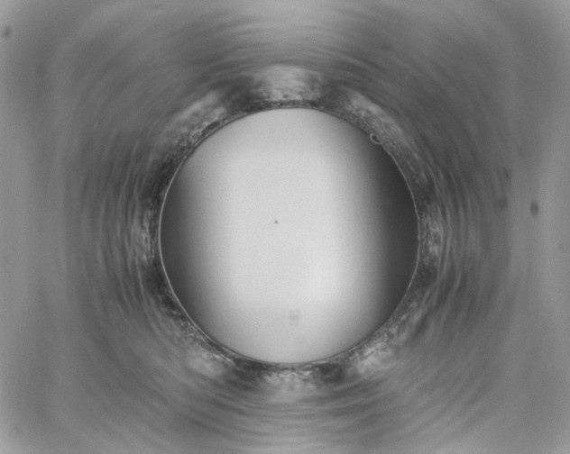 X0000060780422200511171248