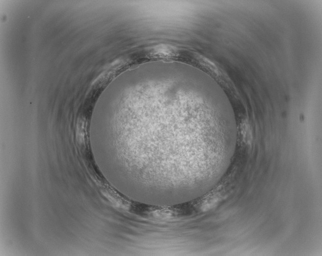 X0000060780423200511171248