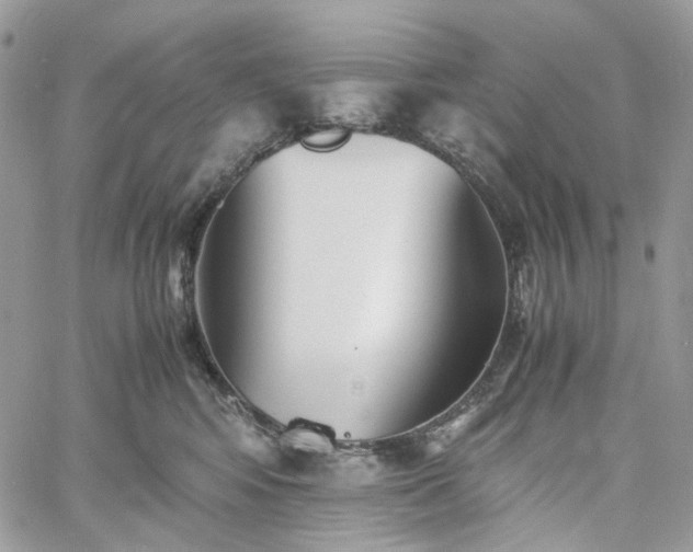 X0000060780424200511171248