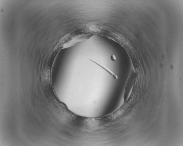 X0000060780425200511171248