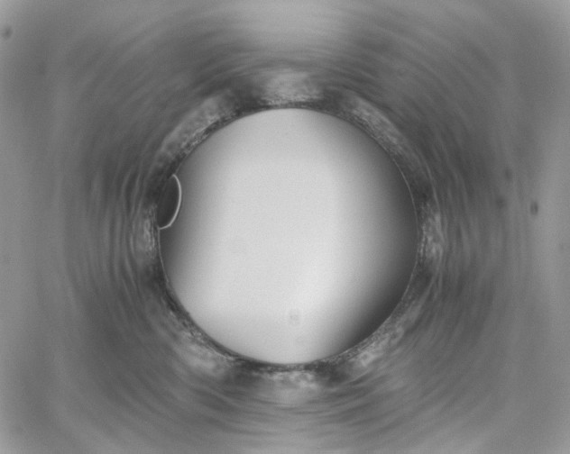 X0000060780426200511171248