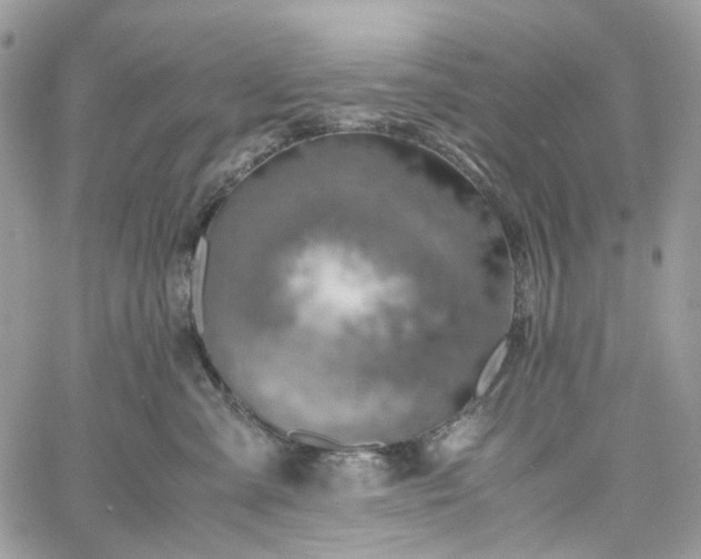 X0000060780427200511171248