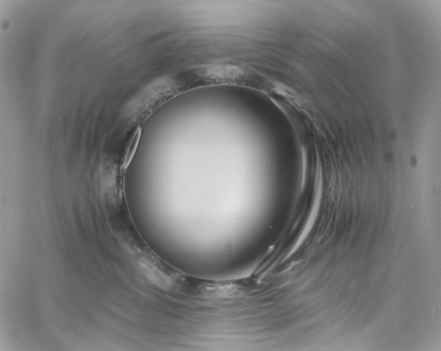 X0000060780428200511171248