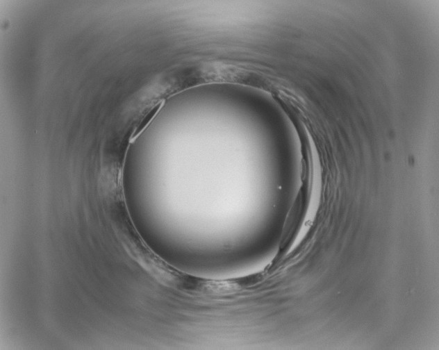 X0000060780429200511171248