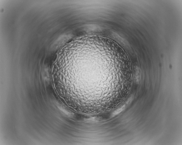 X0000060780430200511171247