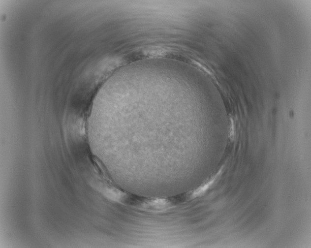 X0000060780431200511171247