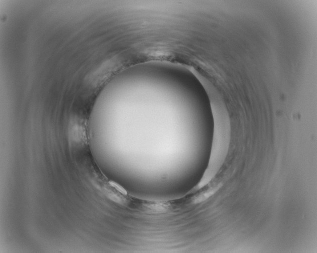 X0000060780432200511171247