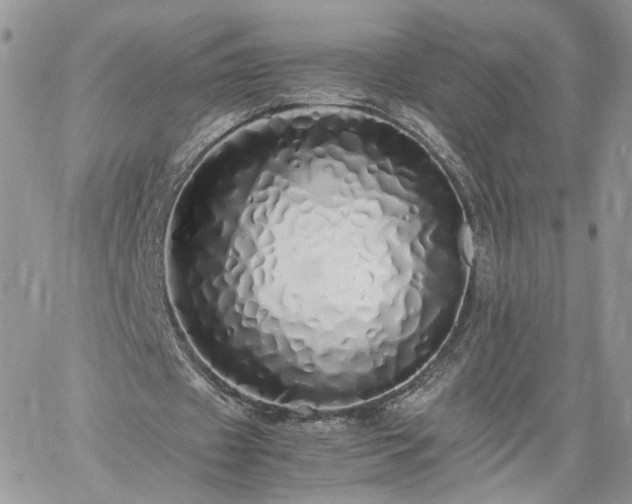 X0000060780433200511171247