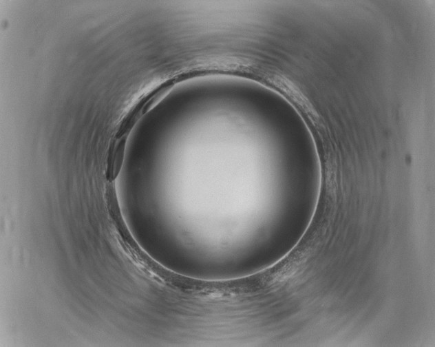 X0000060780434200511171247