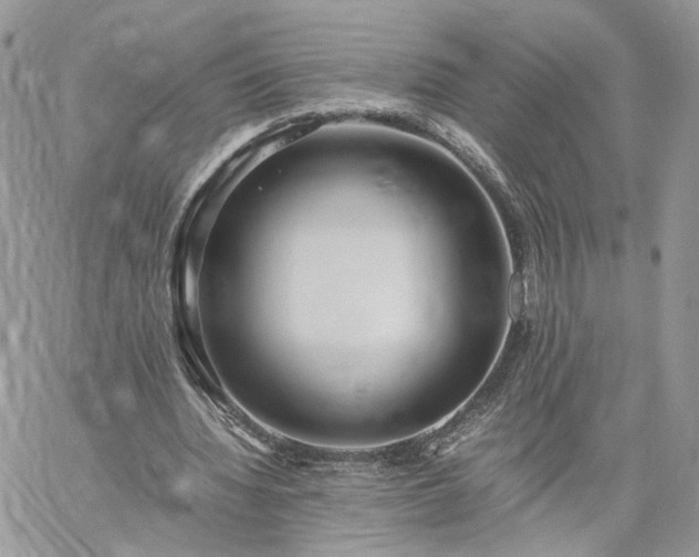 X0000060780436200511171247