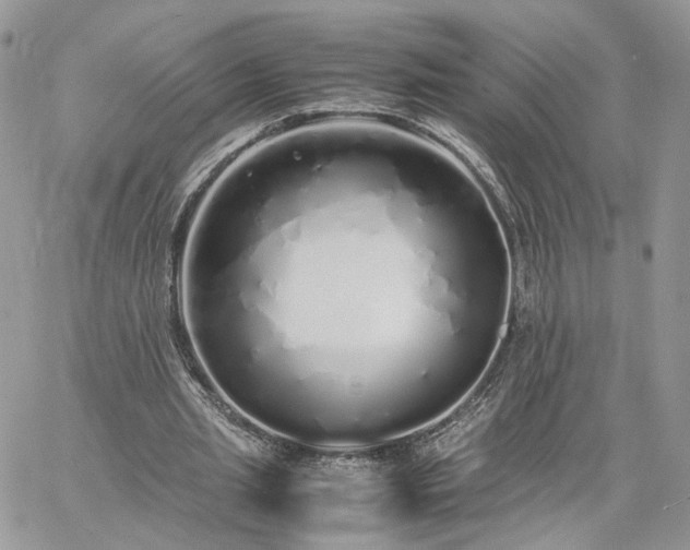 X0000060780437200511171247