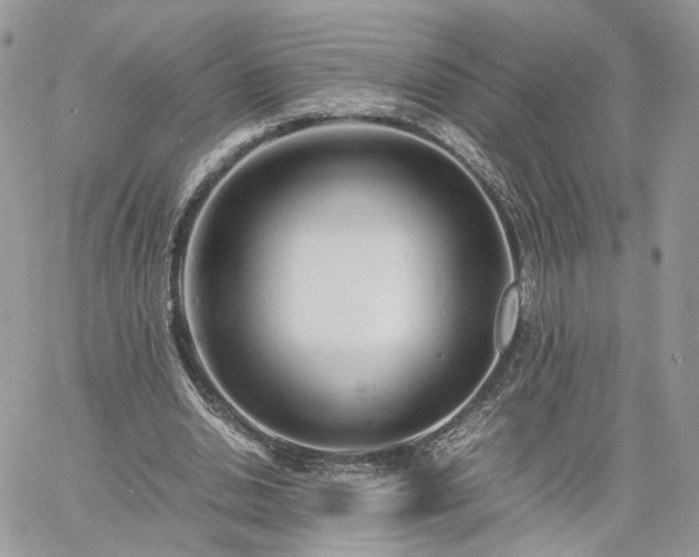 X0000060780438200511171247