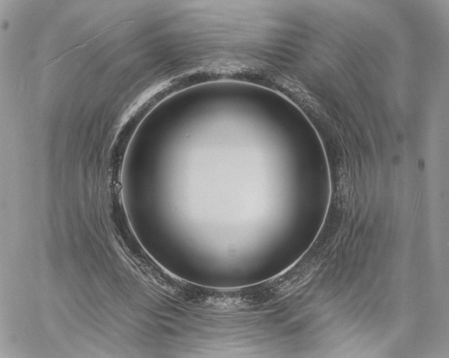 X0000060780440200511171247