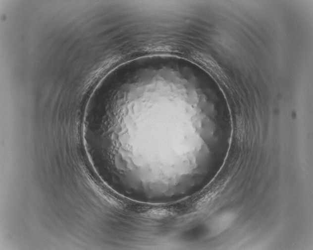 X0000060780441200511171247