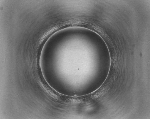 X0000060780442200511171247